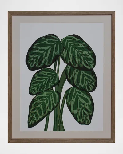 Shadow Catchers Tropical Lavish Framed Wall Art