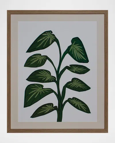 Shadow Catchers Tropical Thrive Framed Wall Art In Multi