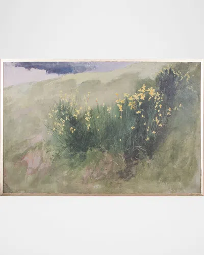 Shadow Catchers Wildflower Landscape Framed Giclee In Multi