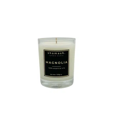 Shamash Candle Studio Neutrals Magnolia Pure Collection Candle In Pink