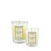 Shamash Candle Studio Neutrals Sweet Cinnamon & Clove Embers Of Solstice Collection Candle 230ml & Candle 80ml In Yellow