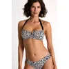 Shan Classic Bandeau Bikini Top In Pattern