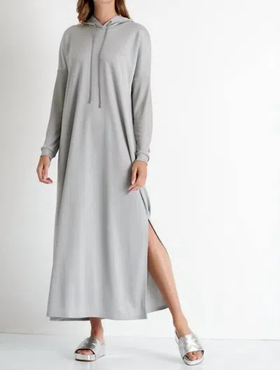 Shan Isabela Long Hooded Dress In Silver In Gray