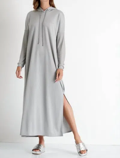 Shan Isabela Long Hooded Dress In Silver In Grey