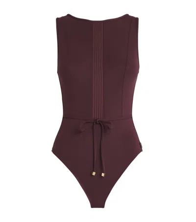Shan Mesh-panel Swimsuit In Brown