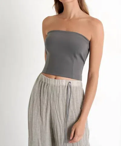 Shan Sofia Classic Bandeau Top In Pewter In Silver