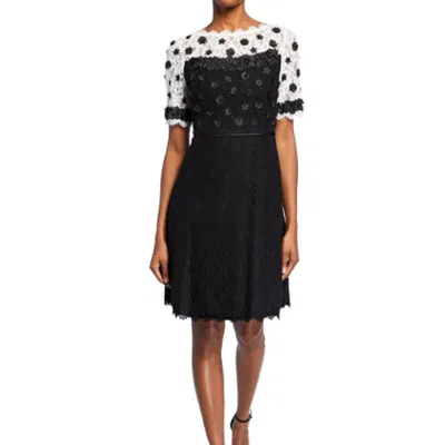Shani Floral Applique Fit And Flare Lace Dress In Black