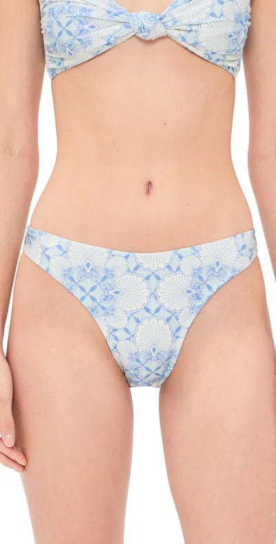 Shani Shemer Alma Bikini Bottoms Aqua Shell Print In Multi