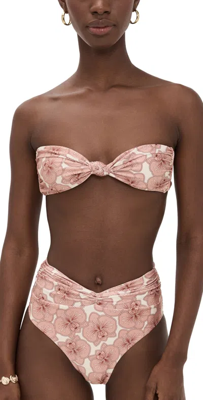 Shani Shemer Anne Bikini Top Pink Print In Multi