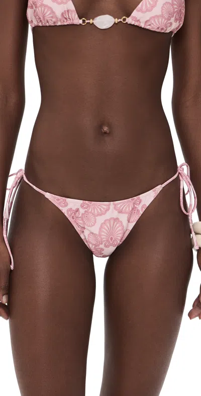 Shani Shemer Khloe Bikini Bottoms Pink Shell Print