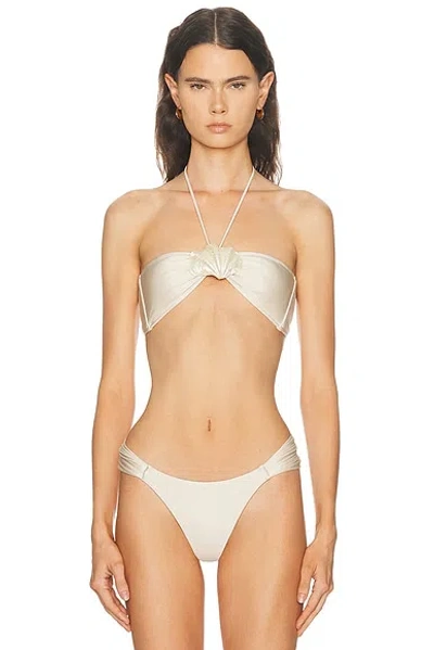 Shani Shemer Liv Bikini Top In Brown