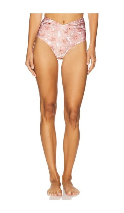 Shani Shemer Tiziana Bikini Bottom In Pink