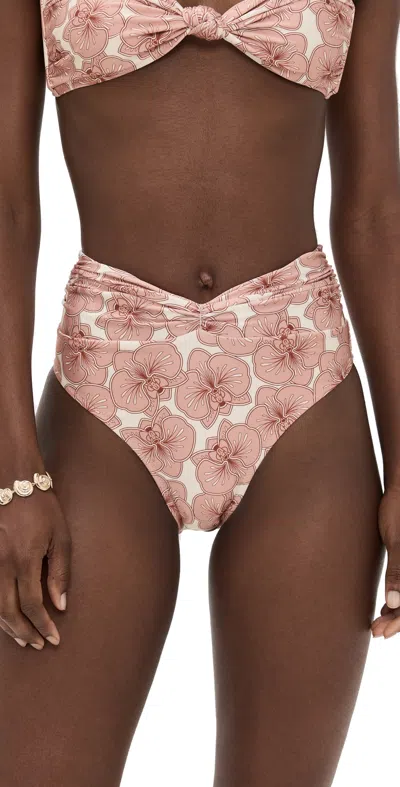 Shani Shemer Tiziana Bikini Bottoms Pink Print