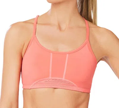 Shape Active Exceed Low Impact Sports Bra In Rose Of Sharon In Pink