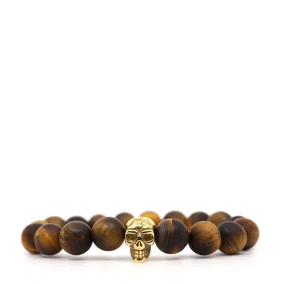 Shar Oke Men's Brown / Gold Brown Tiger's Eye & Gold Skull Bracelet