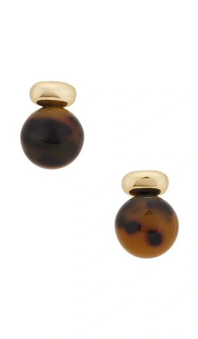 Shashi Alice Tortoise Earring In Brown