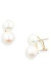 Shashi Bianca Cultured Freshwater Pearl Earrings In Pearl