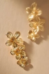 Shashi Botanique Drop Earrings In Gold