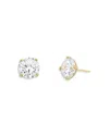 Shashi Caroline Cubic Zirconia Stud Earrings In 14k Gold Plated Sterling Silver In Gold