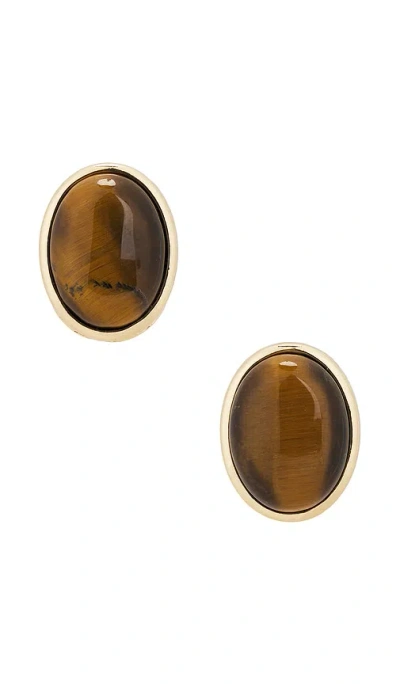 Shashi Cecillia Stud Earring In Brown
