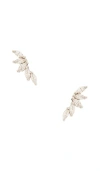Shashi Fallen Leaf Ear Climber In Silver