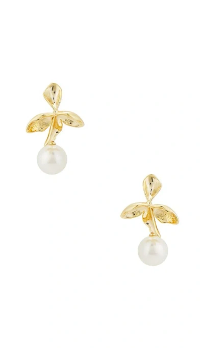 Shashi Fiorina Pearl Drop Earring In White