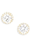 Shashi Halo Stud Earrings In Gold