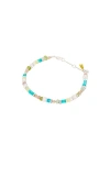 SHASHI MARNI BRACELET