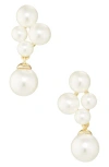 Shashi Nuit Blanche Freshwater Pearl Drop Earrings In White