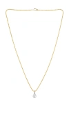 Shashi Pear Diamond Chain Necklace In Gold