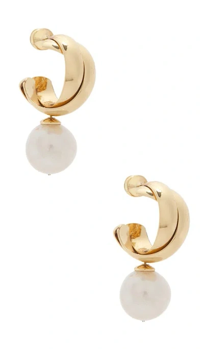 Shashi Ross Pearl Earring In Gold