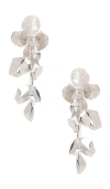Shashi Ruellia Large Earring In 실버