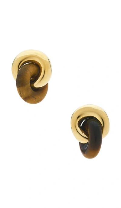 Shashi Supernova Earring In Gold