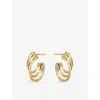 Shaun Leane Womens Bound Size 2 18ct Yellow Gold Vermeil Hoop Earrings In Gold