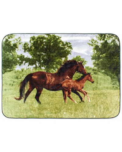 Shavel Home High Pile Oversized Luxury Throw In Multi