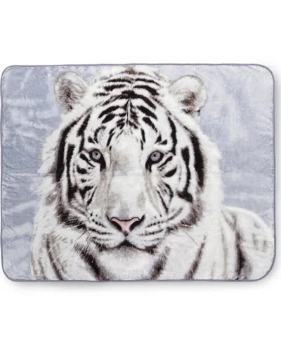 Shavel Home High Pile Oversized Luxury Throw In Multi