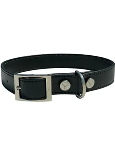 Shaya Pets Leather Adjustable & Water Resistant Dog Collar In Black