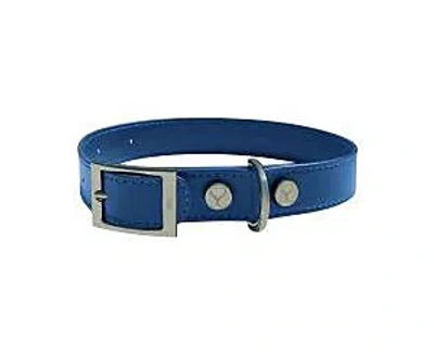 Shaya Pets Leather Adjustable & Water Resistant Dog Collar In Blue