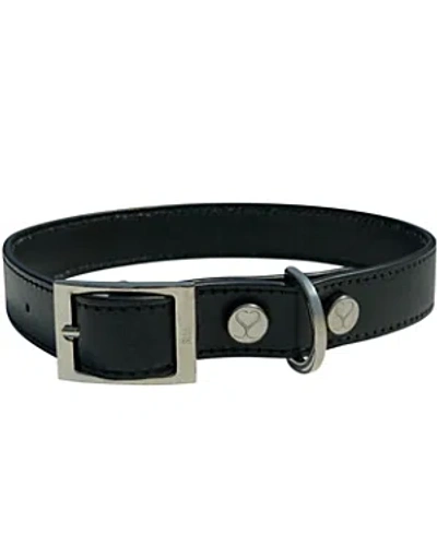 SHAYA PETS LEATHER ADJUSTABLE & WATER RESISTANT SMALL DOG COLLAR