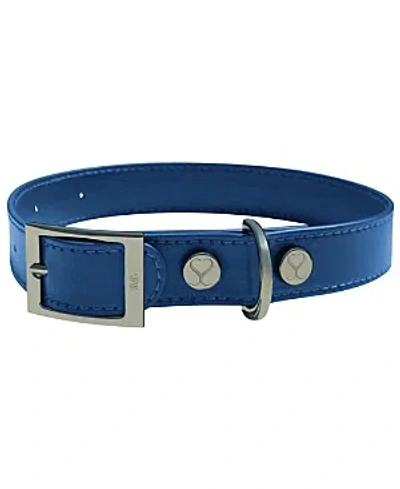 Shaya Pets Leather Adjustable & Water Resistant Small Dog Collar In Blue