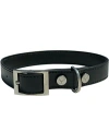 Shaya Pets Medium Leather Adjustable & Water Resistant Dog Collar In Black
