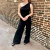 She + Sky Clearwater One Shoulder Jumpsuit In Black In Black