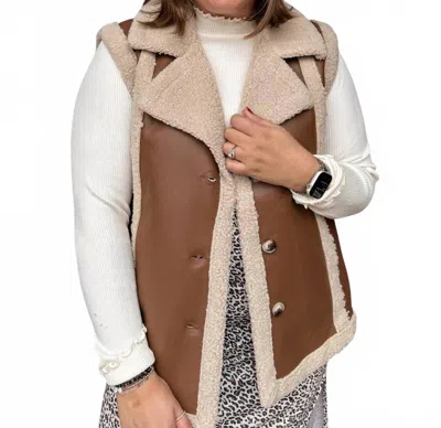 She + Sky Faux Leather Shearling Vest In Brown