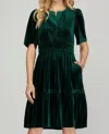 She + Sky Half Sleeve Velvet Dress With Elastic Waistband In Dark Green In Green