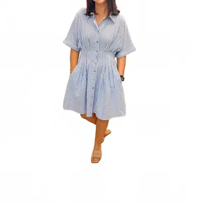She + Sky Jill Gingham Dress In Blue