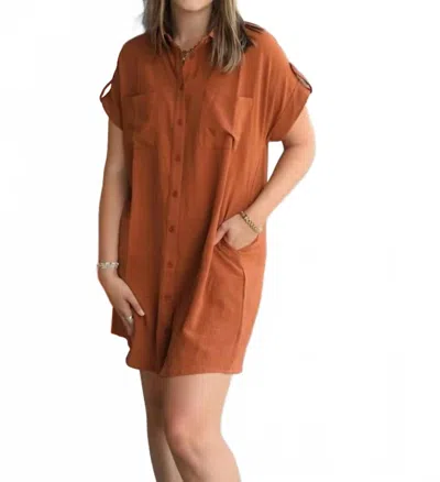 She + Sky Safari Shirt Dress In Rust In Brown