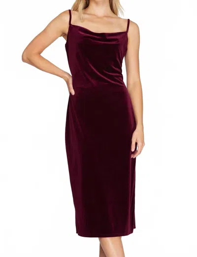 She + Sky Velvet Camisole Dress With Cowl Neck And Side Slit In Wine In Burgundy