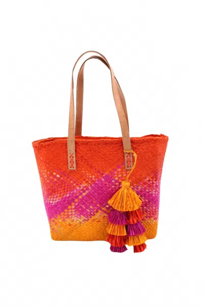 Shebobo Holden Ombre Straw Handbag In Fuchsia In Pink