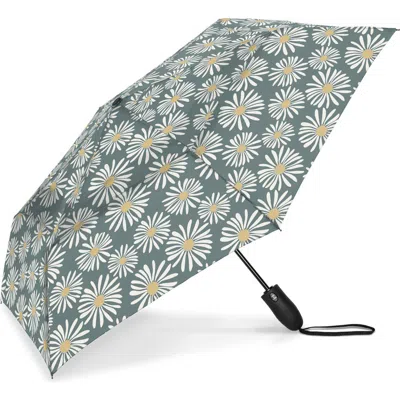 Shedrain Folding Umbrella In Alissa