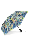Shedrain Folding Umbrella In Gloria